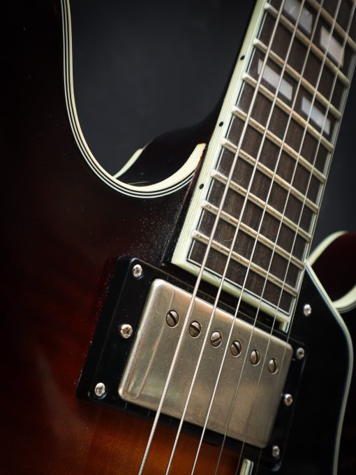 Eastman T59/v Antique Sunburst - Afbeelding 6