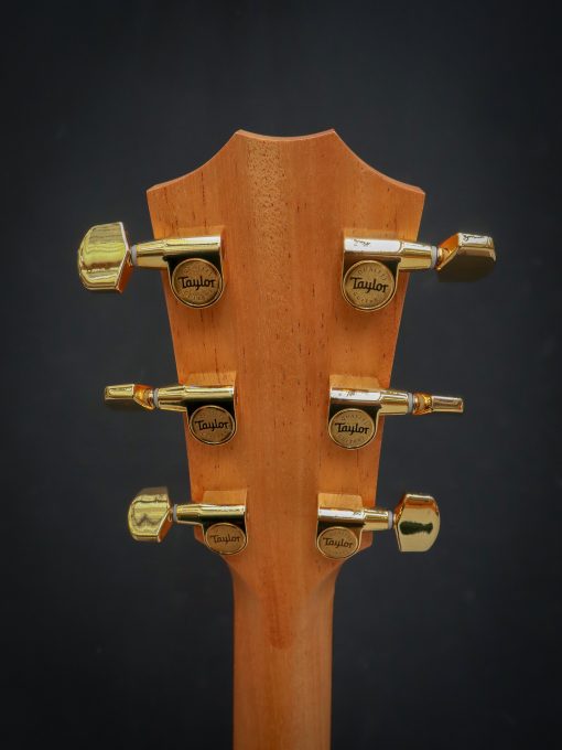 Taylor 217e-SB Plus LTD - Afbeelding 11