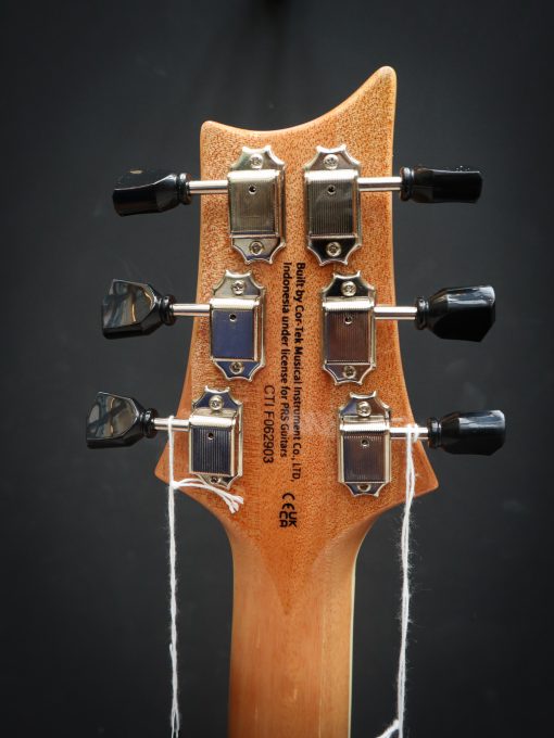 PRS SE Zach Myers - Afbeelding 16