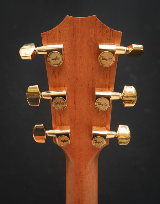 Taylor 224ce-K DLX - Afbeelding 15