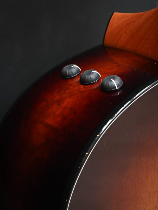 Taylor 224ce-K DLX - Afbeelding 6