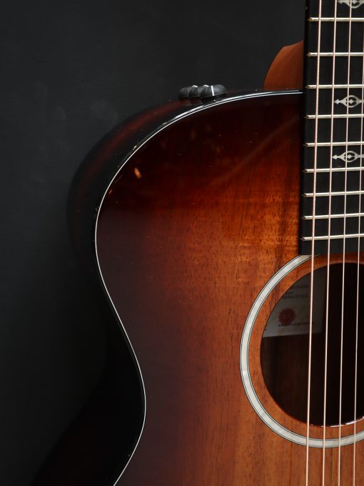 Taylor 224ce-K DLX - Afbeelding 5