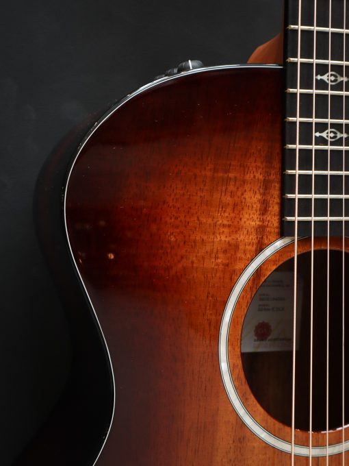 Taylor 224ce-K DLX - Afbeelding 4