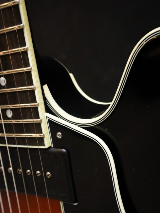 Eastman T60 TV/v SB - Afbeelding 8