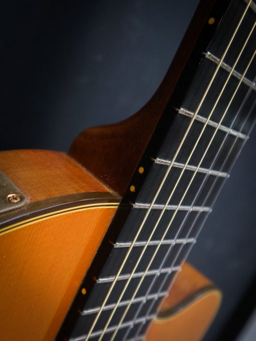 1982 Gibson Chet Atkins Classic Electric - Afbeelding 10