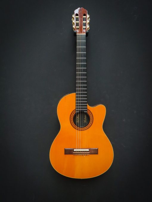 1982 Gibson Chet Atkins Classic Electric - Afbeelding 2