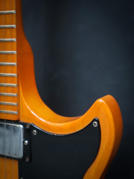 1976 Gibson L6-S Custom Natural - Afbeelding 7