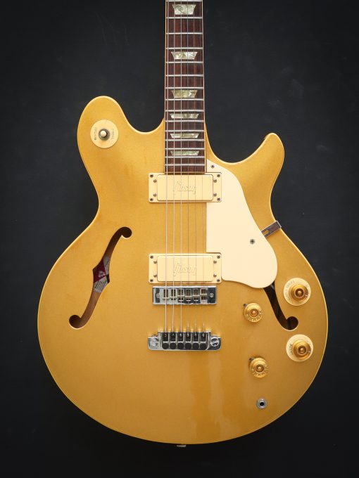 Gibson Les Paul Signature Gold Top 1973-75 - Afbeelding 3