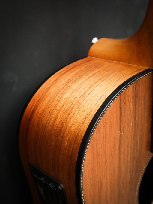Maton Blackwood Series 70C Used - Afbeelding 7