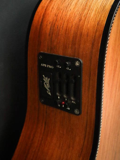 Maton Blackwood Series 70C Used - Afbeelding 6