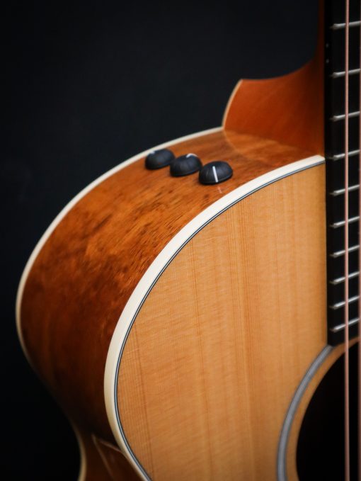 Taylor 214ce-K DLX - Afbeelding 4