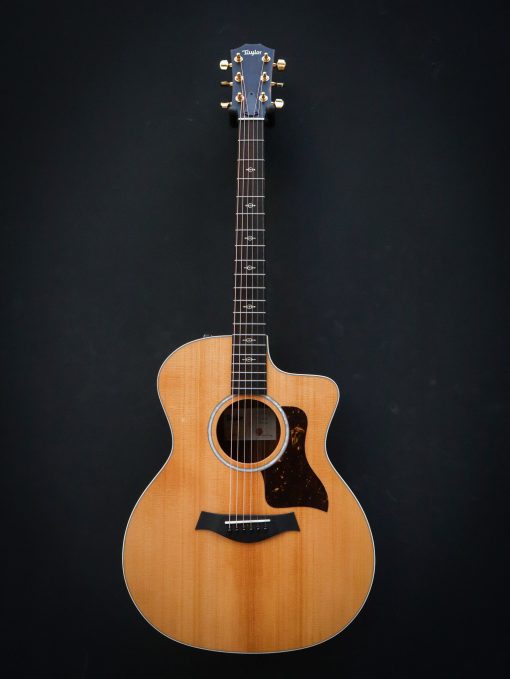 Taylor 214ce-K DLX - Afbeelding 2