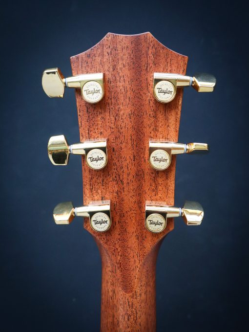 Taylor Legacy 514ce - Afbeelding 9
