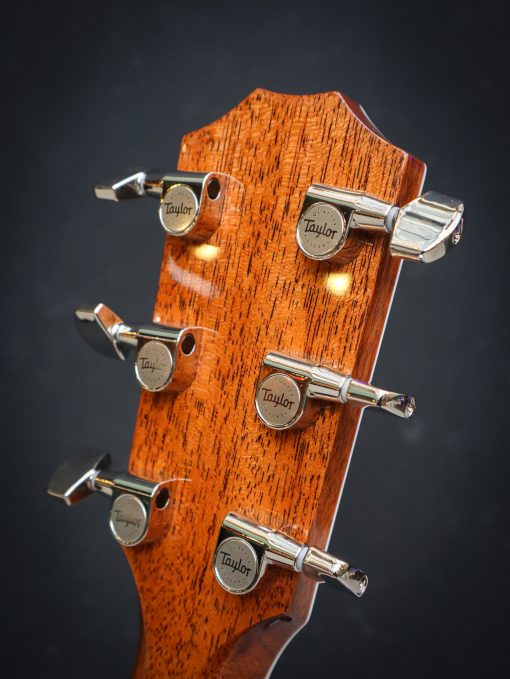 Taylor Legacy 810e - Afbeelding 11