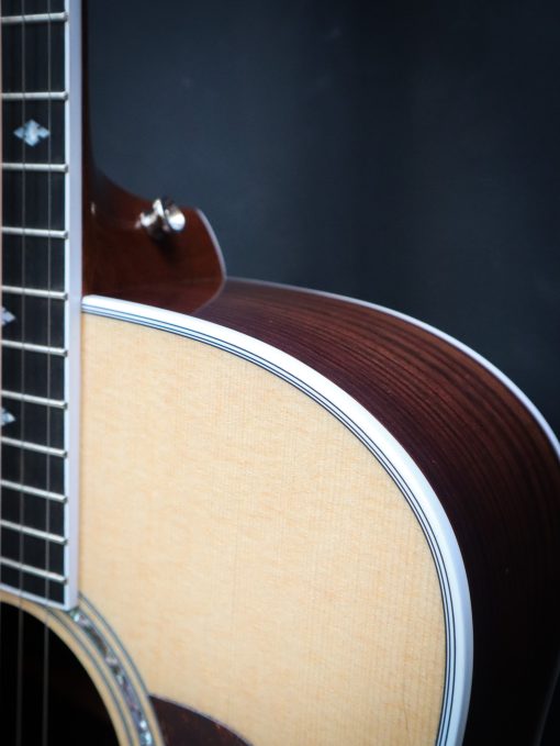 Taylor Legacy 810e - Afbeelding 9