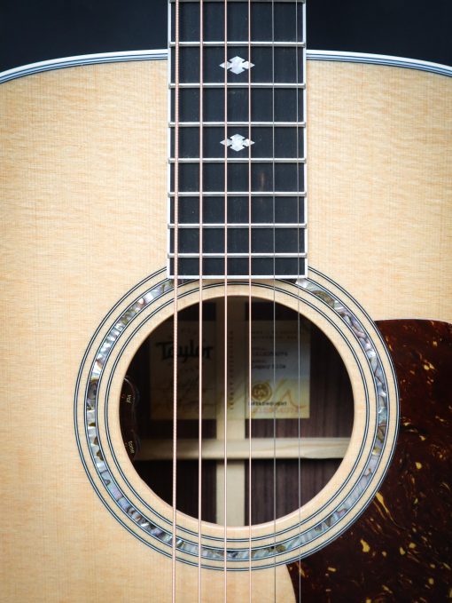 Taylor Legacy 810e - Afbeelding 8