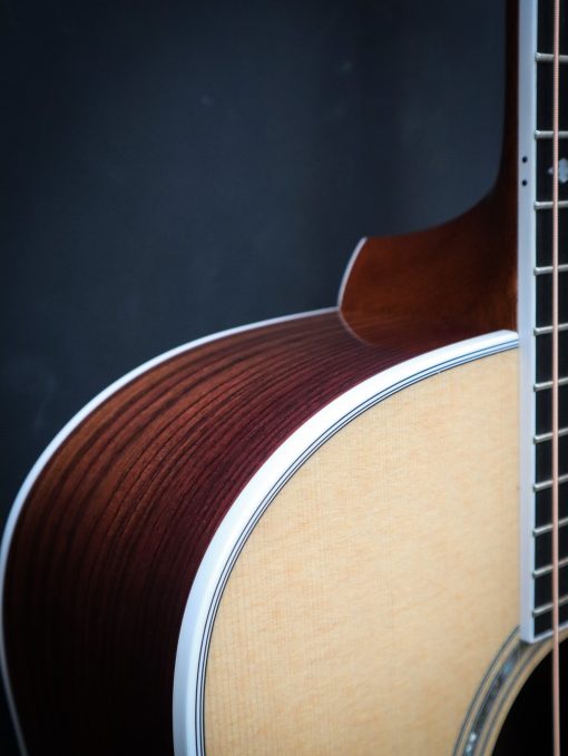 Taylor Legacy 810e - Afbeelding 7