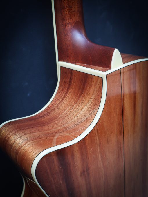 Eastman AC 422 CE Limited Edition - Afbeelding 15