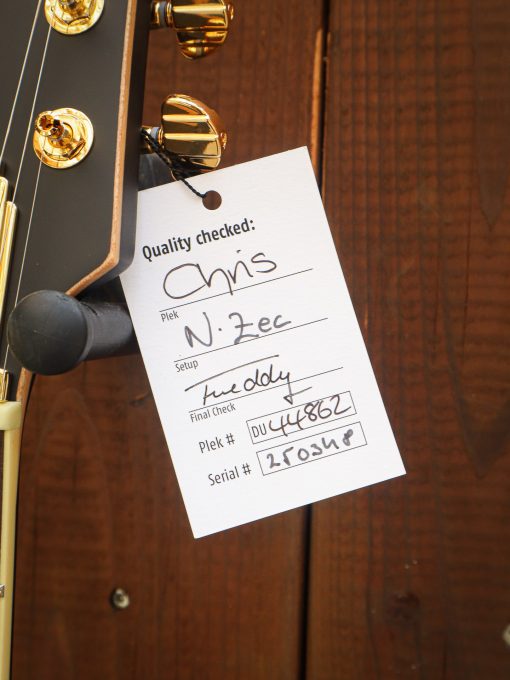 Duesenberg Starplayer TV Black Velvet - Afbeelding 16