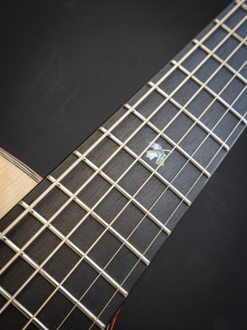 Dowina Master-serie Acero GAC - Afbeelding 14