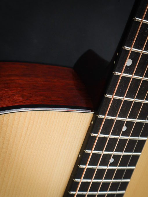 Eastman E10D (Pre-Owned) - Afbeelding 8
