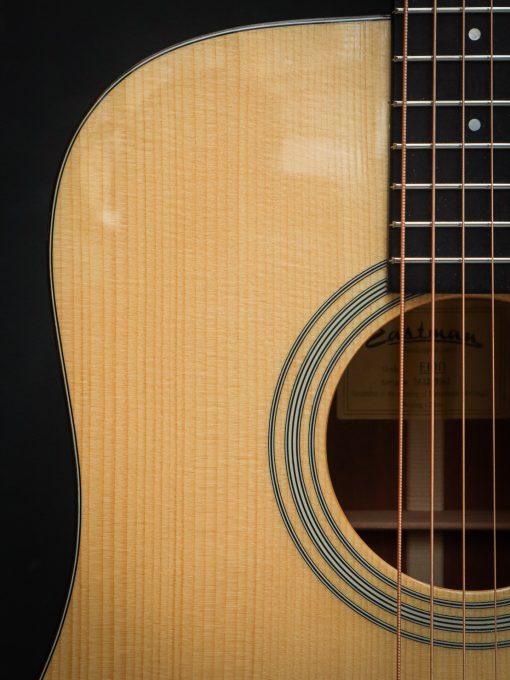 Eastman E10D (Pre-Owned) - Afbeelding 7