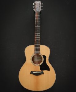 Alternative view of Taylor GS Mini Sapele