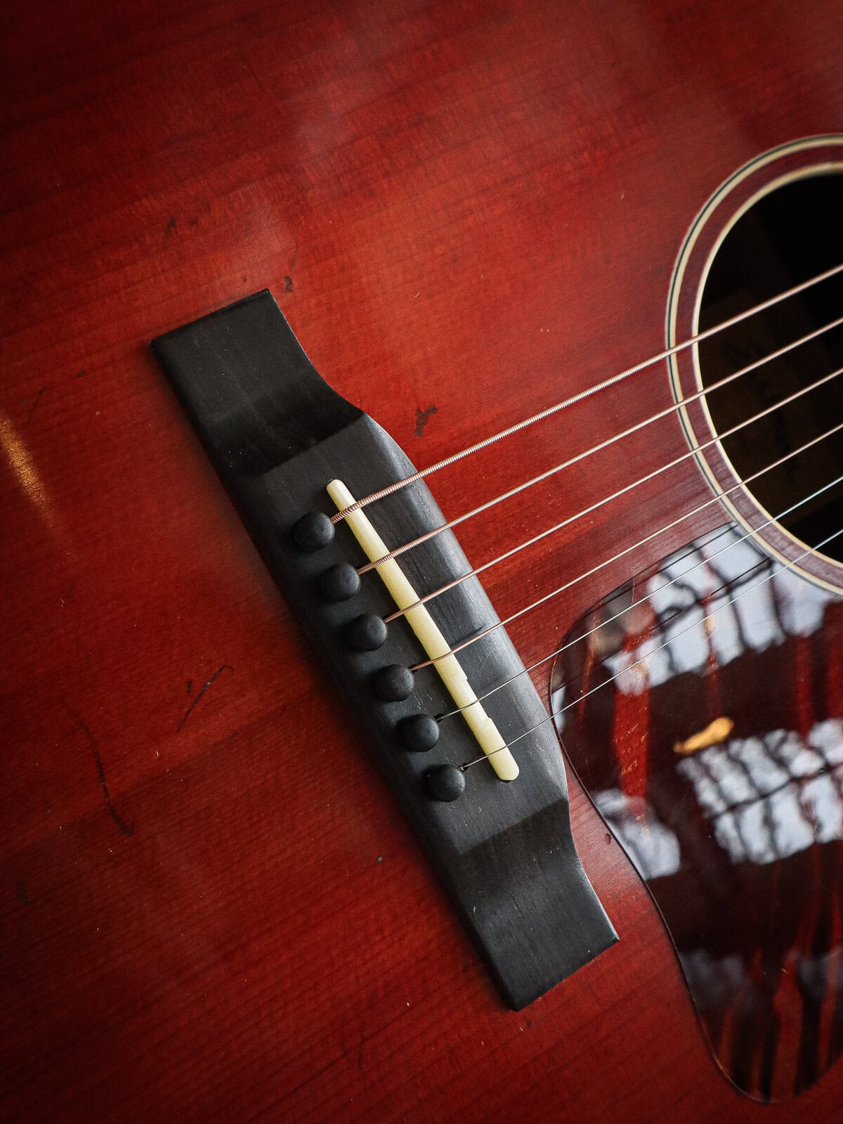 Eastman E10 SS/v - Afbeelding 8