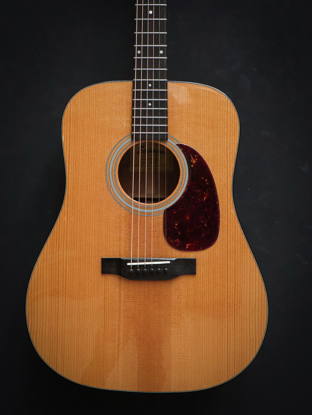 Eastman E10D Thermo-Cure - Afbeelding 3