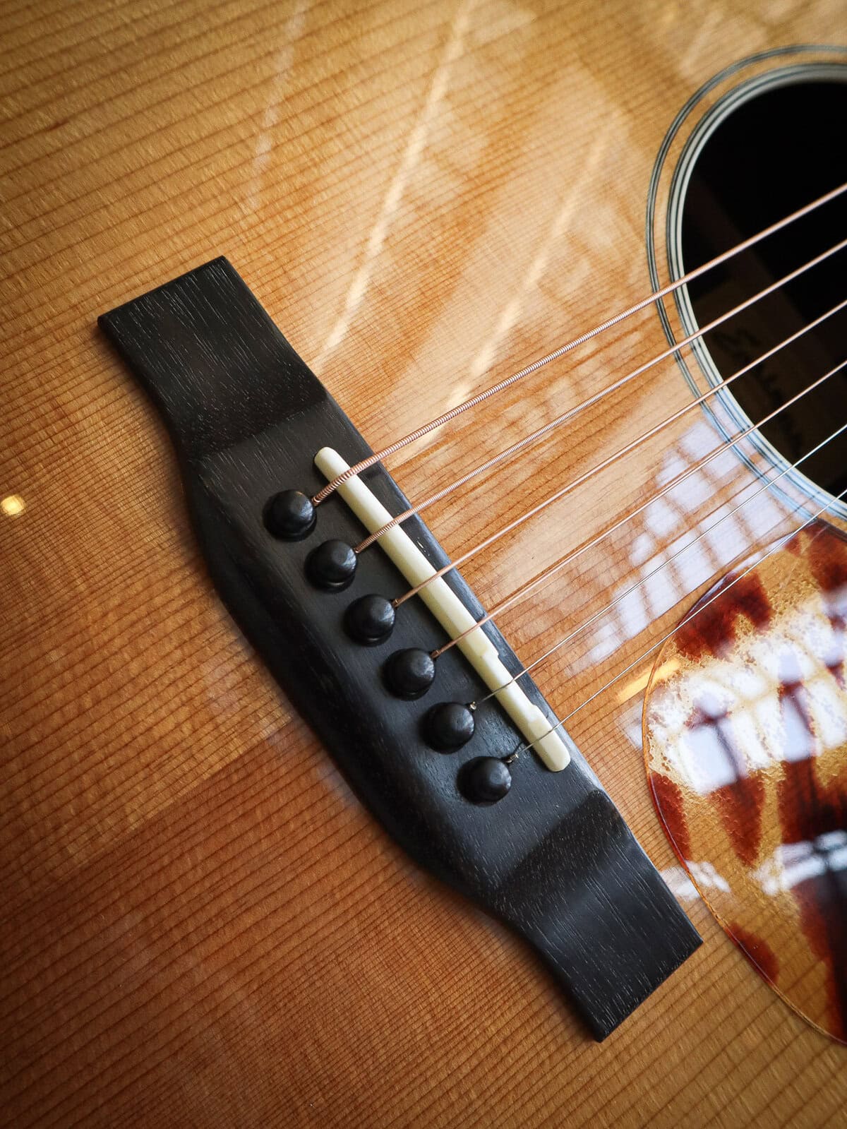 Eastman E20D TC Large Sound Hole - Afbeelding 9