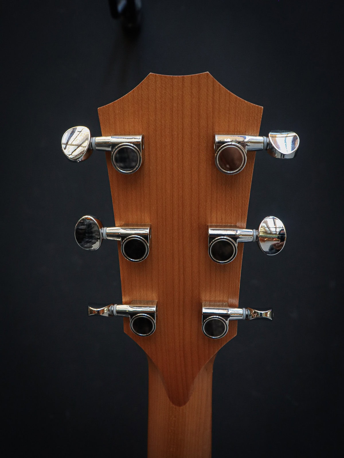 Taylor 24ce Sapele - Afbeelding 12