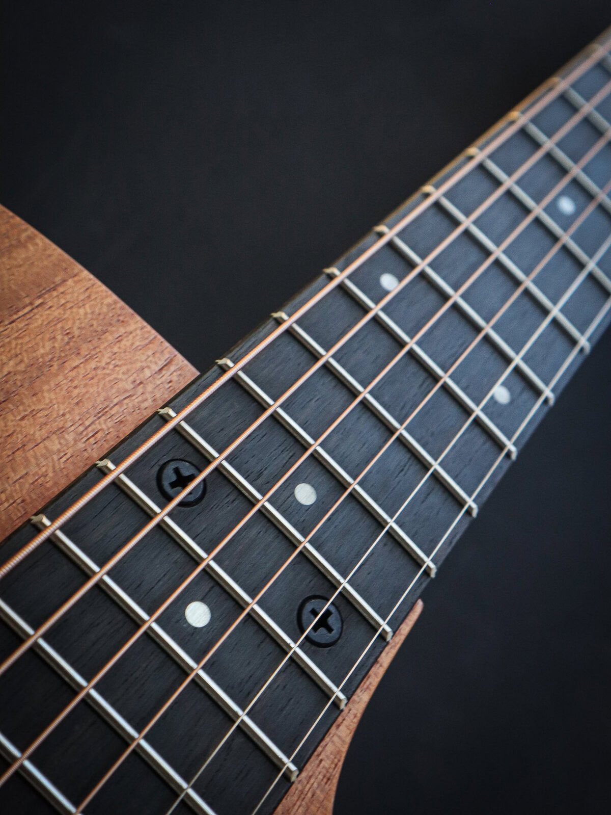 Taylor 24ce Sapele - Afbeelding 9