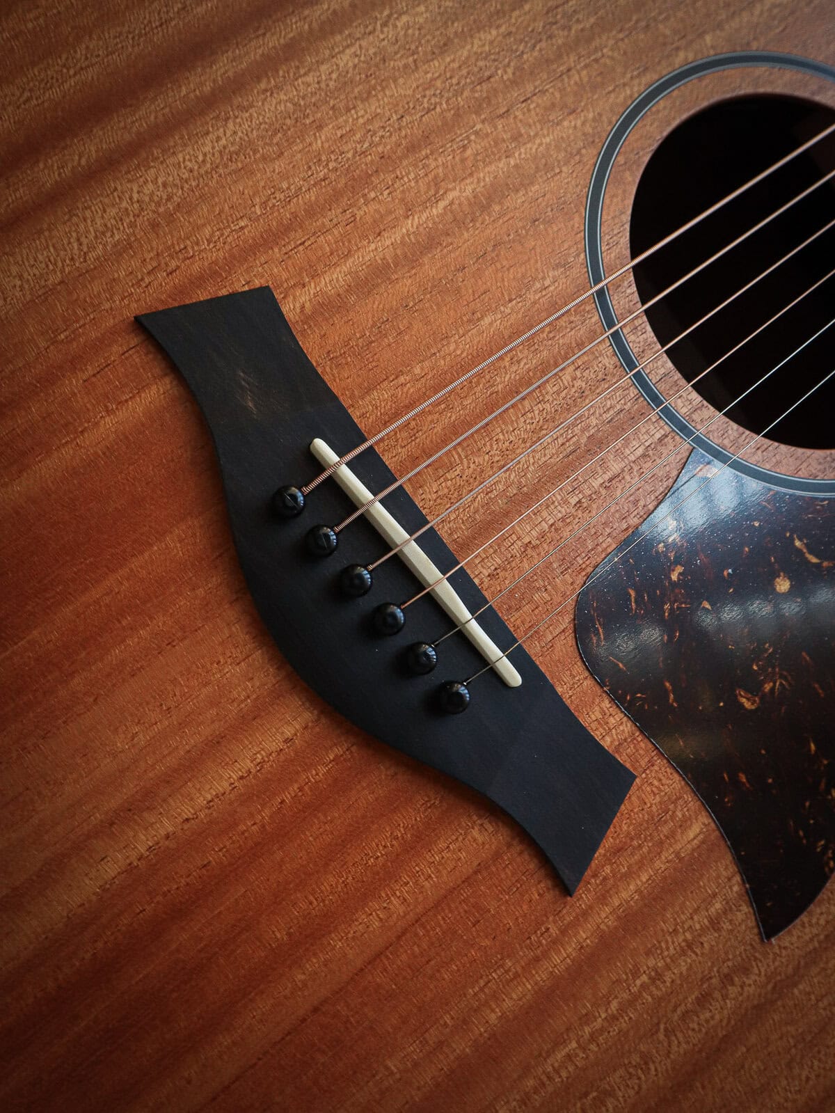 Taylor 24ce Sapele - Afbeelding 6