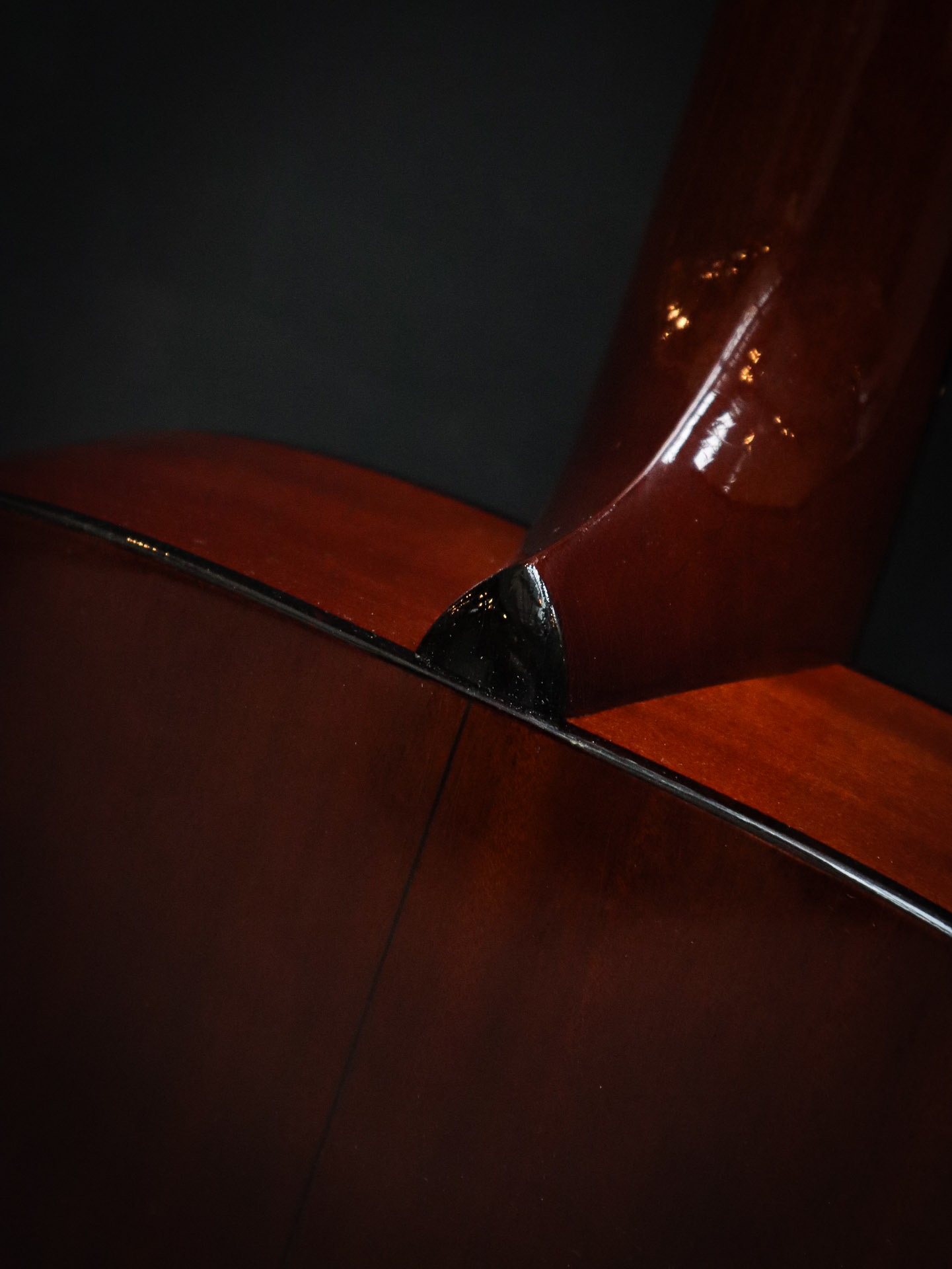 Atkin Essential OM - Afbeelding 16