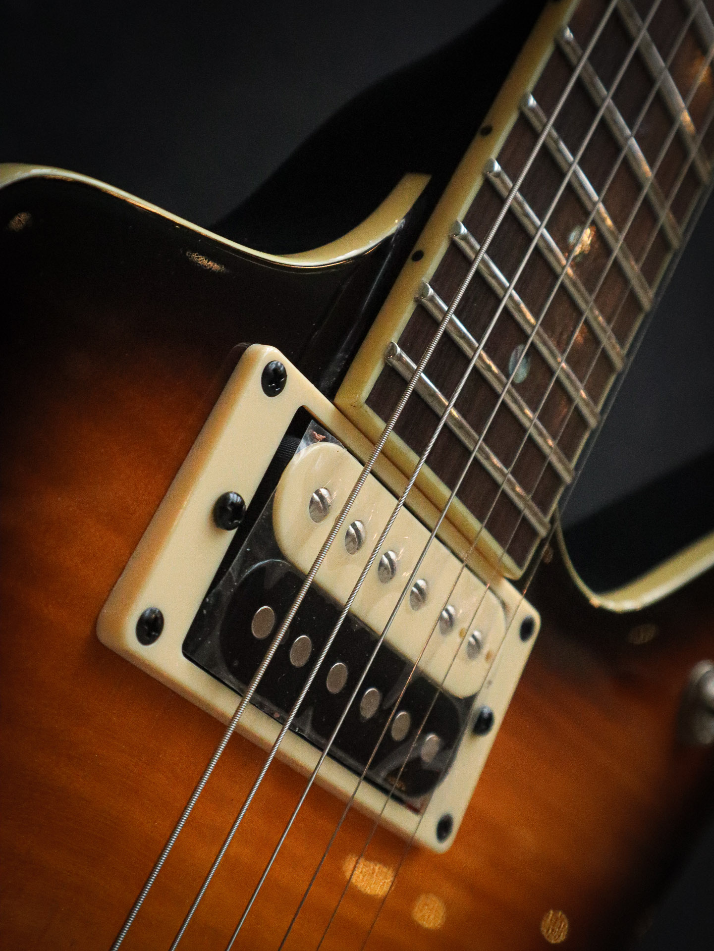 Dean Dimebag ML Far Beyond Driven + case - Afbeelding 6