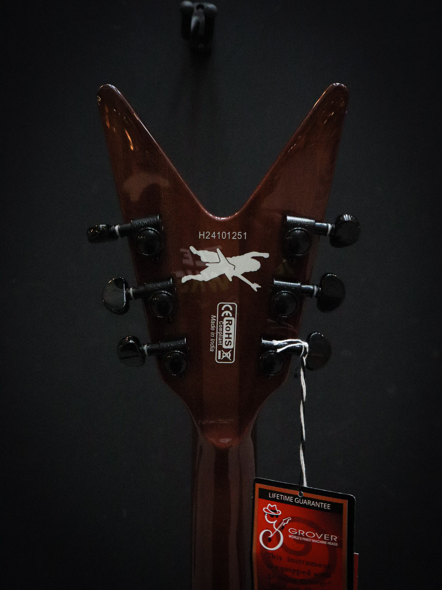 Dean Dimebag ML Far Beyond Driven + case - Afbeelding 13