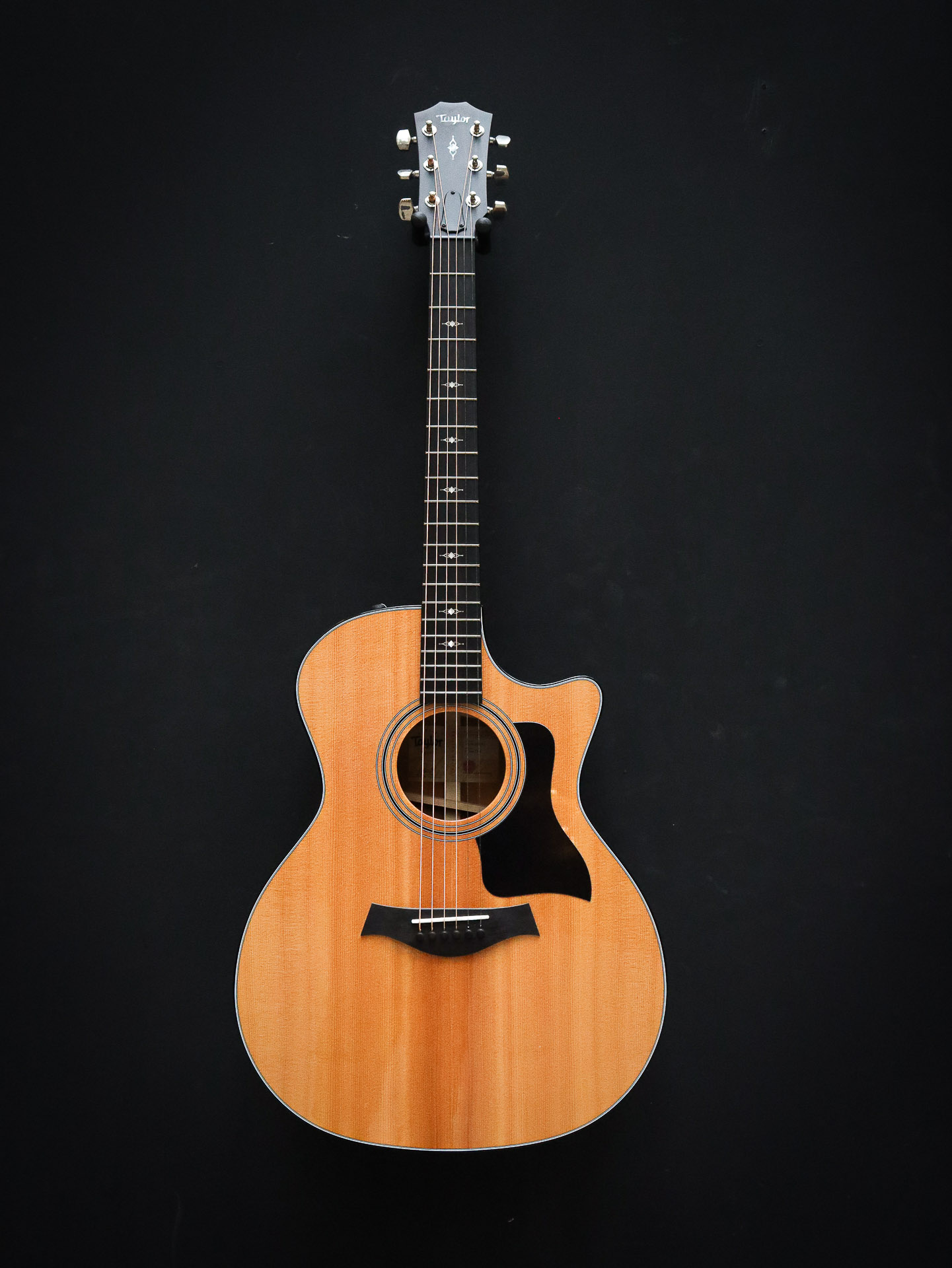 Taylor 314ce Ltd Koa - Afbeelding 2