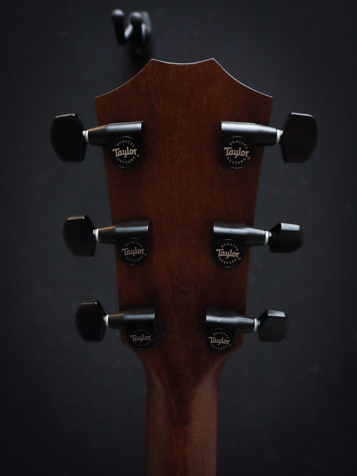 Taylor AD12e Sunburst - Afbeelding 10