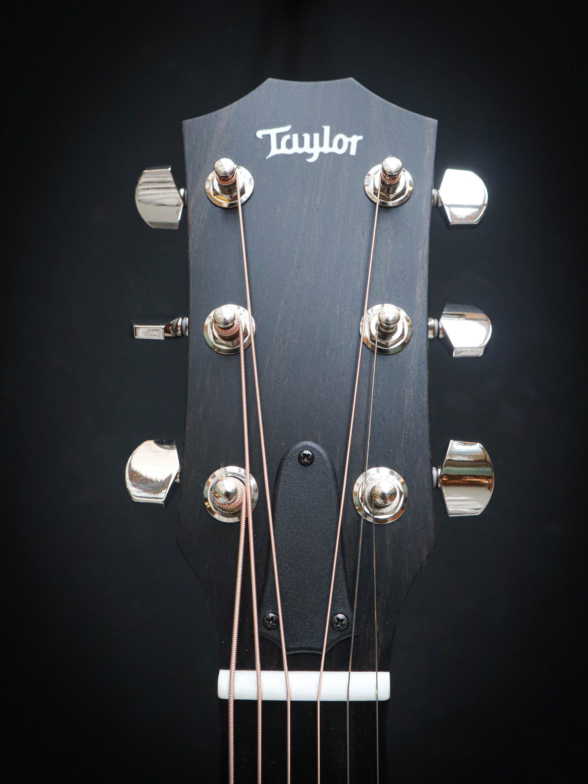 Taylor 210ce Plus - Afbeelding 9