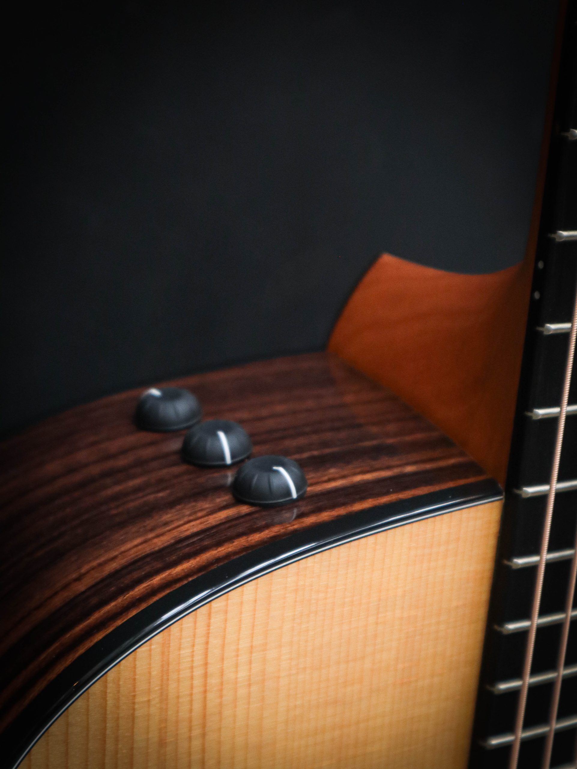 Taylor 210ce Plus - Afbeelding 5