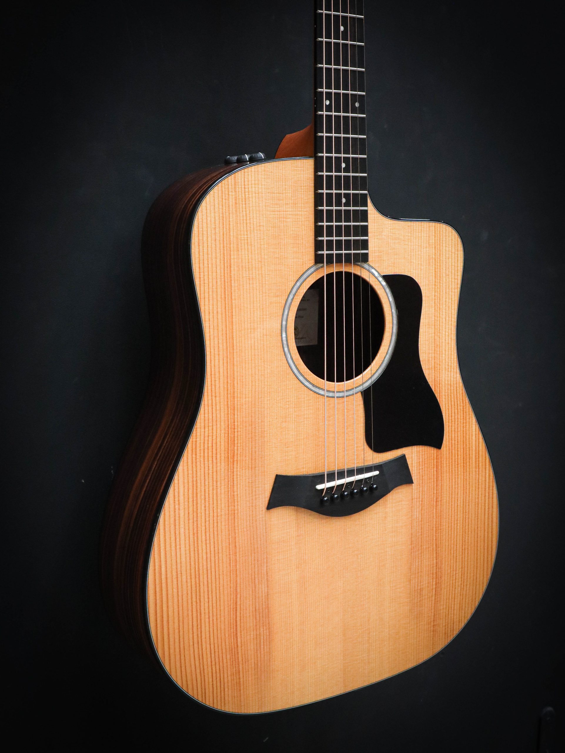 Taylor 210ce Plus - Afbeelding 4