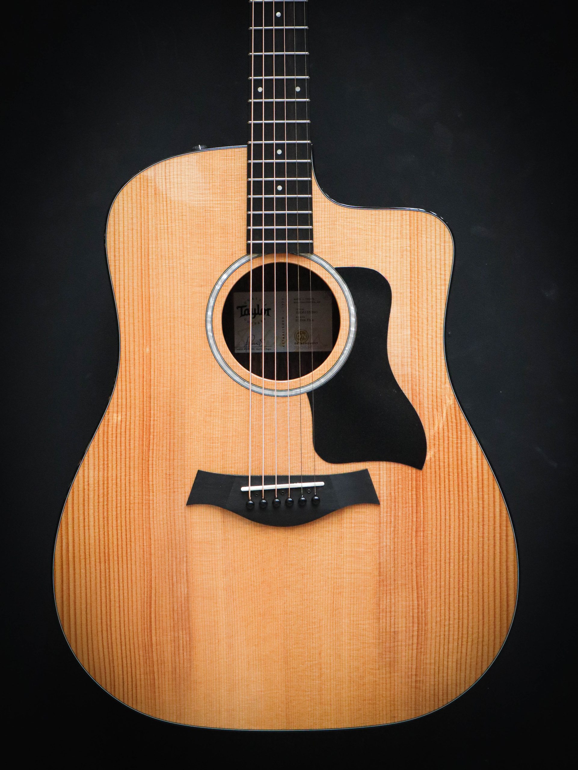 Taylor 210ce Plus - Afbeelding 3