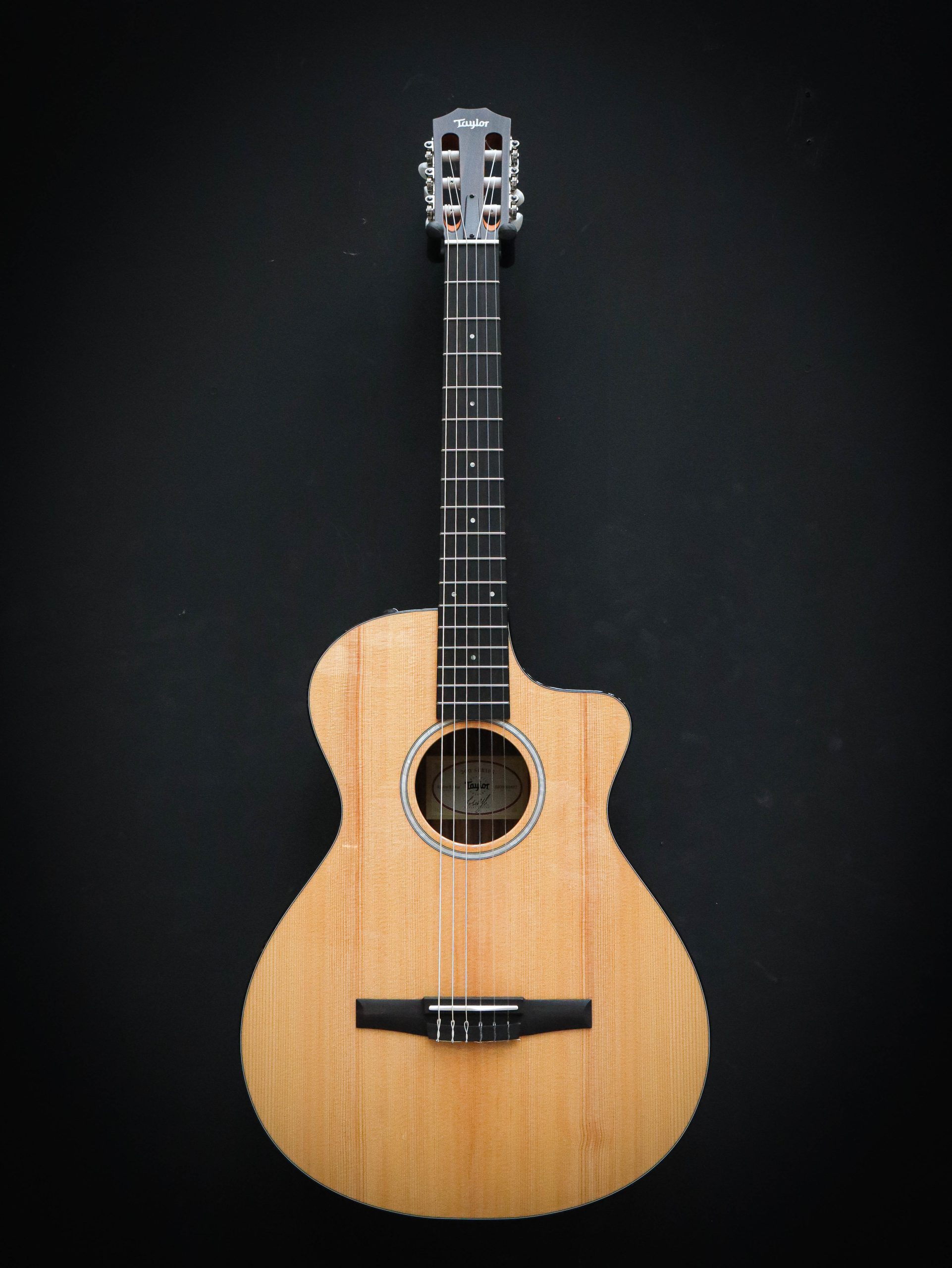 Taylor 212ce-N Plus - Afbeelding 2