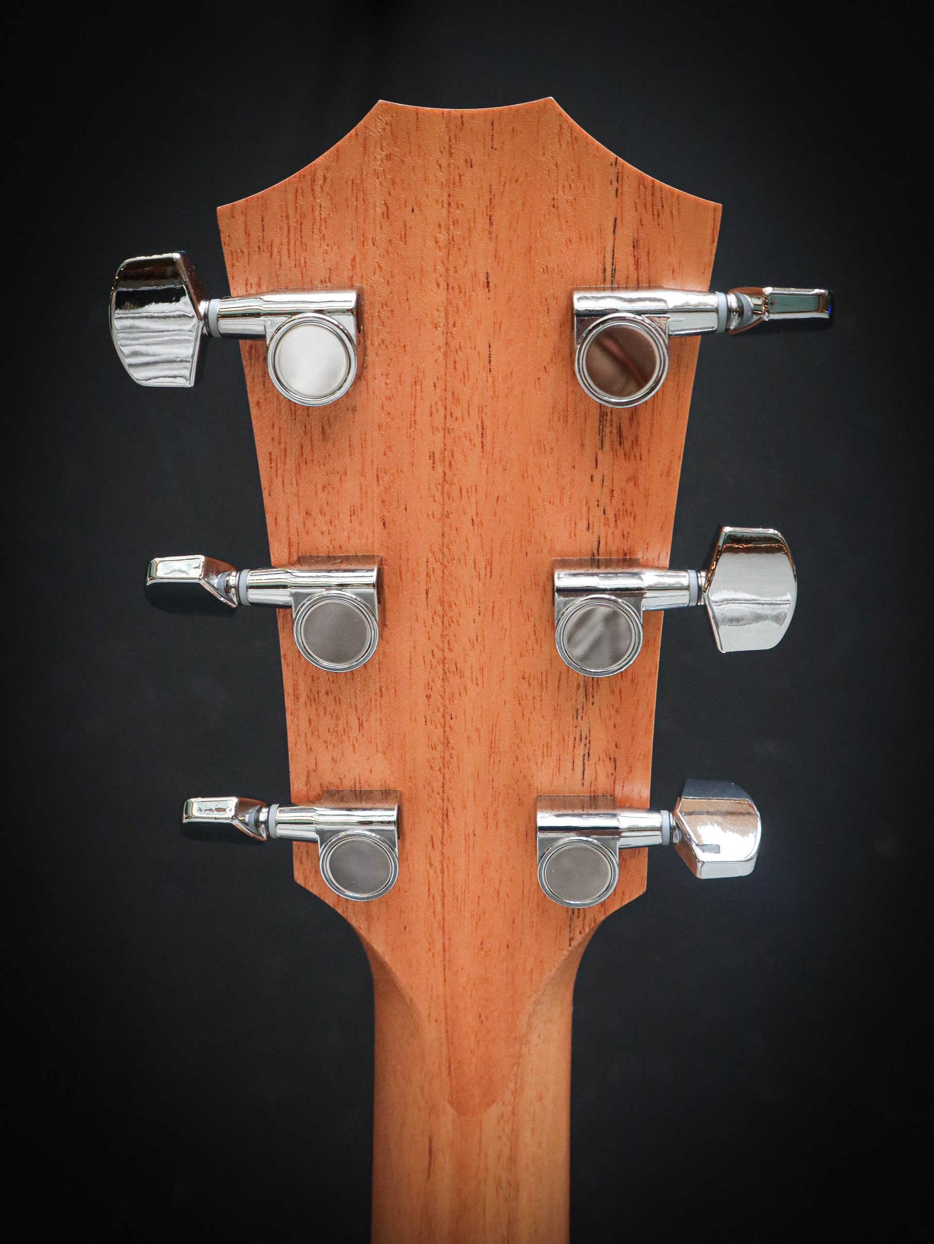 Taylor 214ce - Afbeelding 10