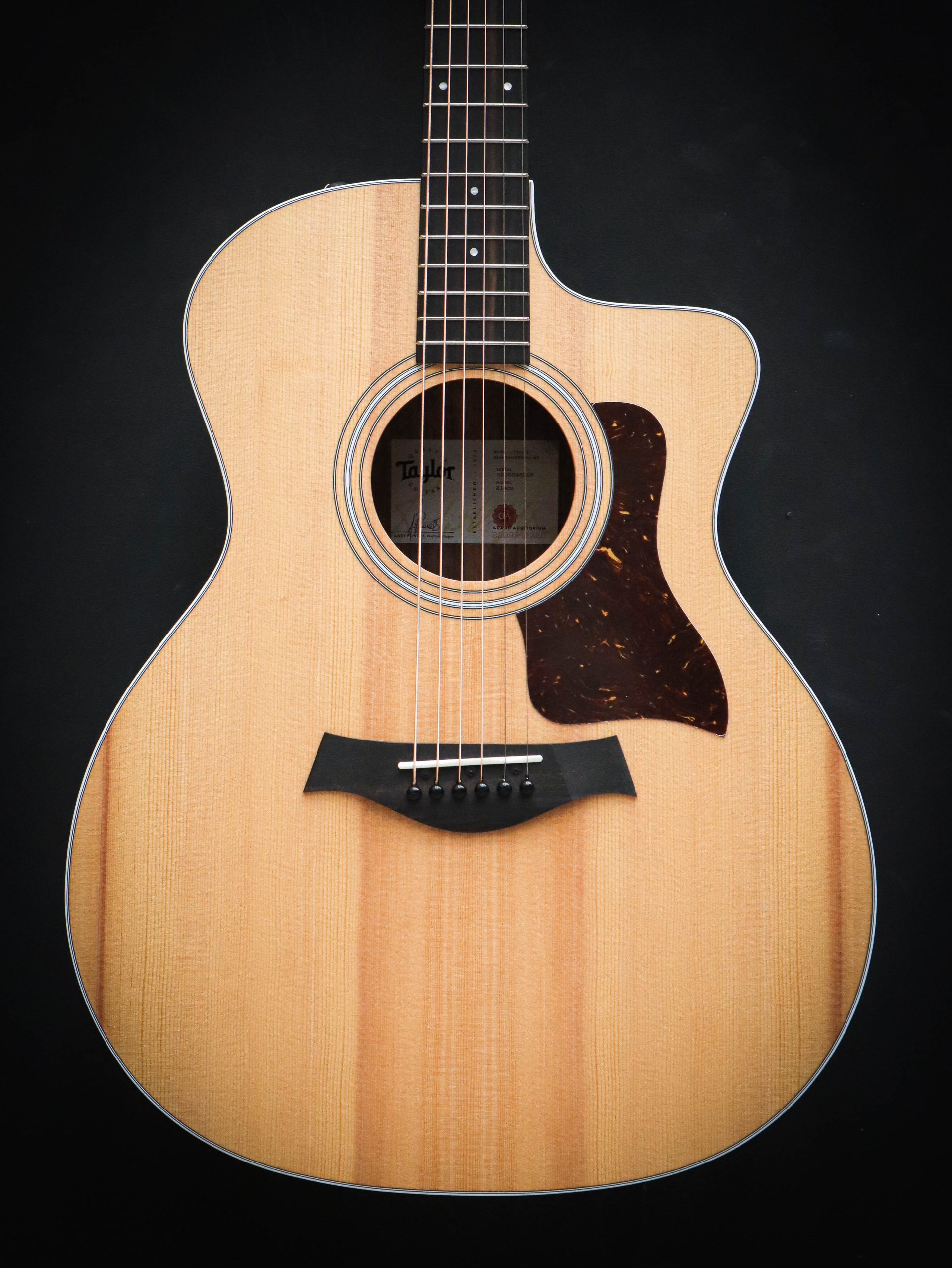 Taylor 214ce - Afbeelding 3