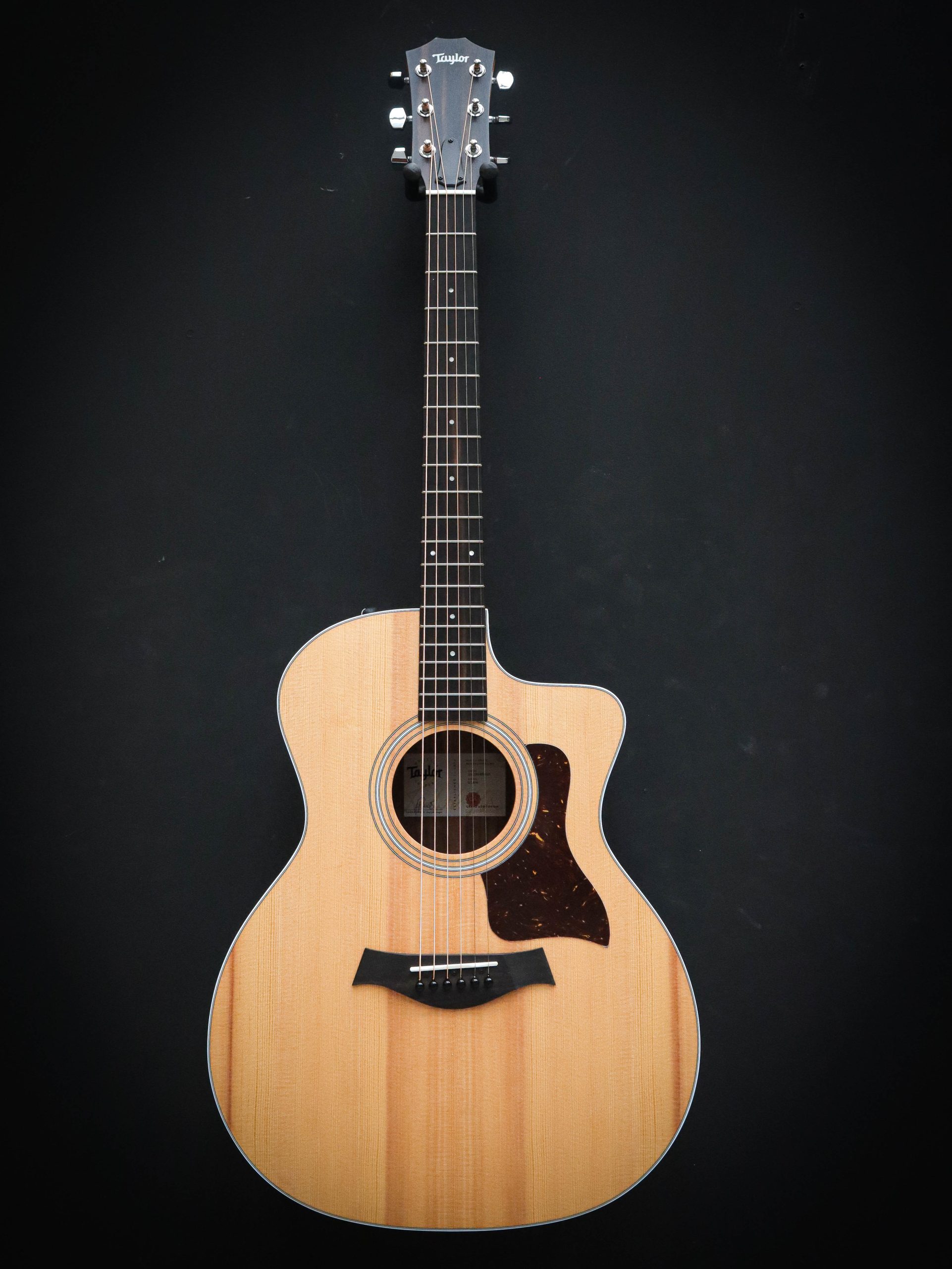 Taylor 214ce - Afbeelding 2