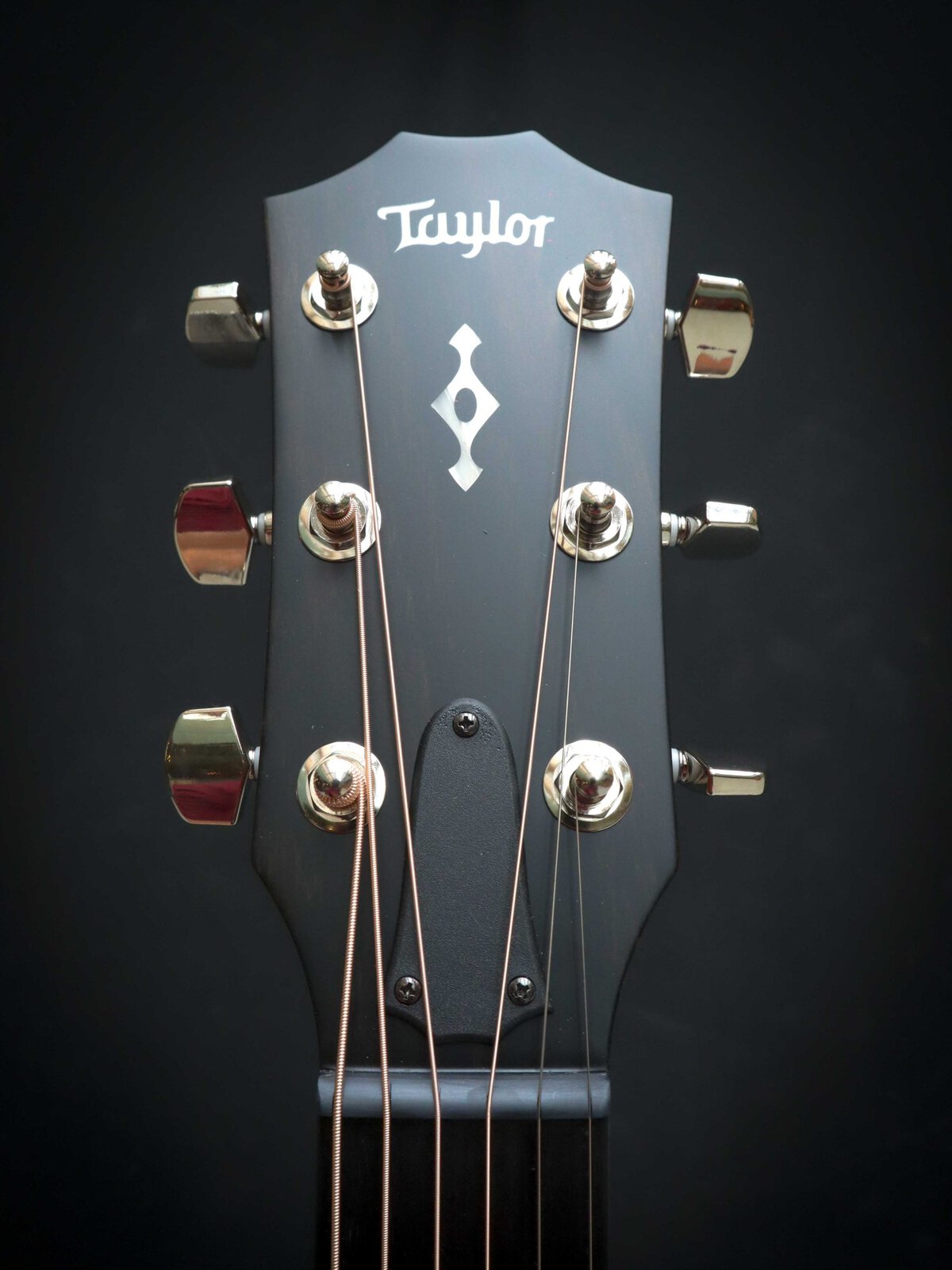 Taylor 314ce Next Generation - Afbeelding 10