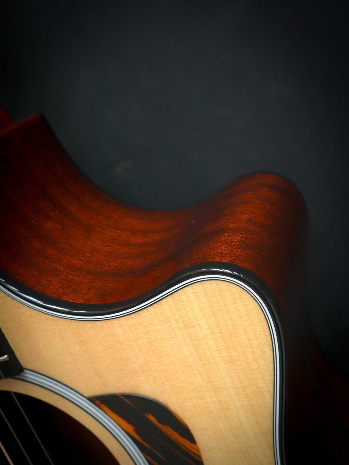 Taylor 314ce Next Generation - Afbeelding 9