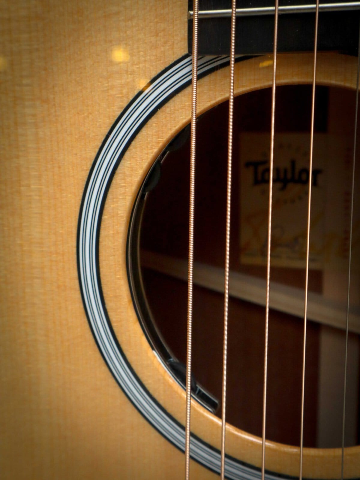 Taylor 314ce Next Generation - Afbeelding 7