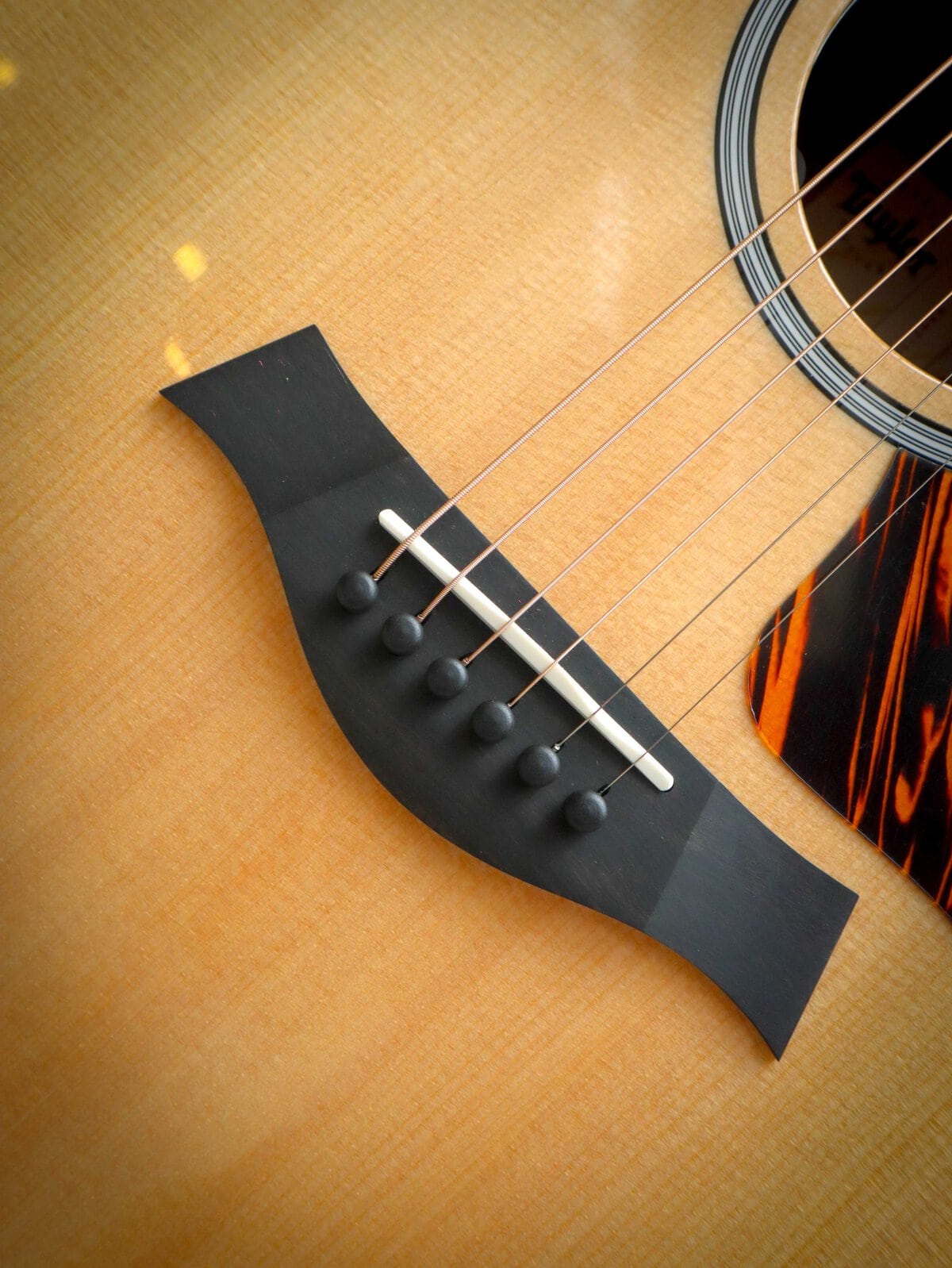 Taylor 314ce Next Generation - Afbeelding 6